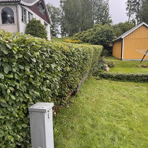 Trädgårdsarbete • Efter