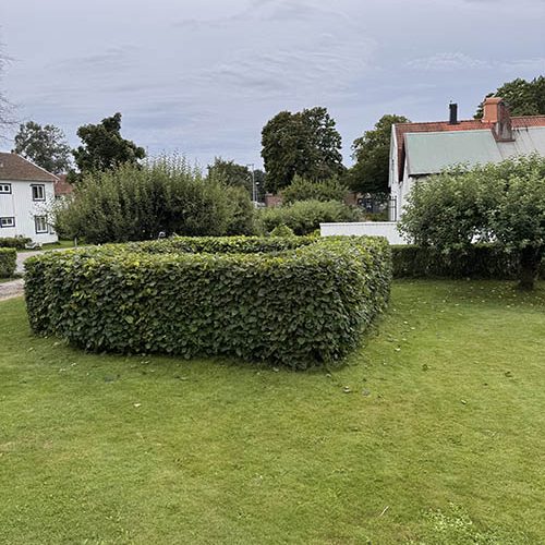 Trädgårdsarbete • Efter